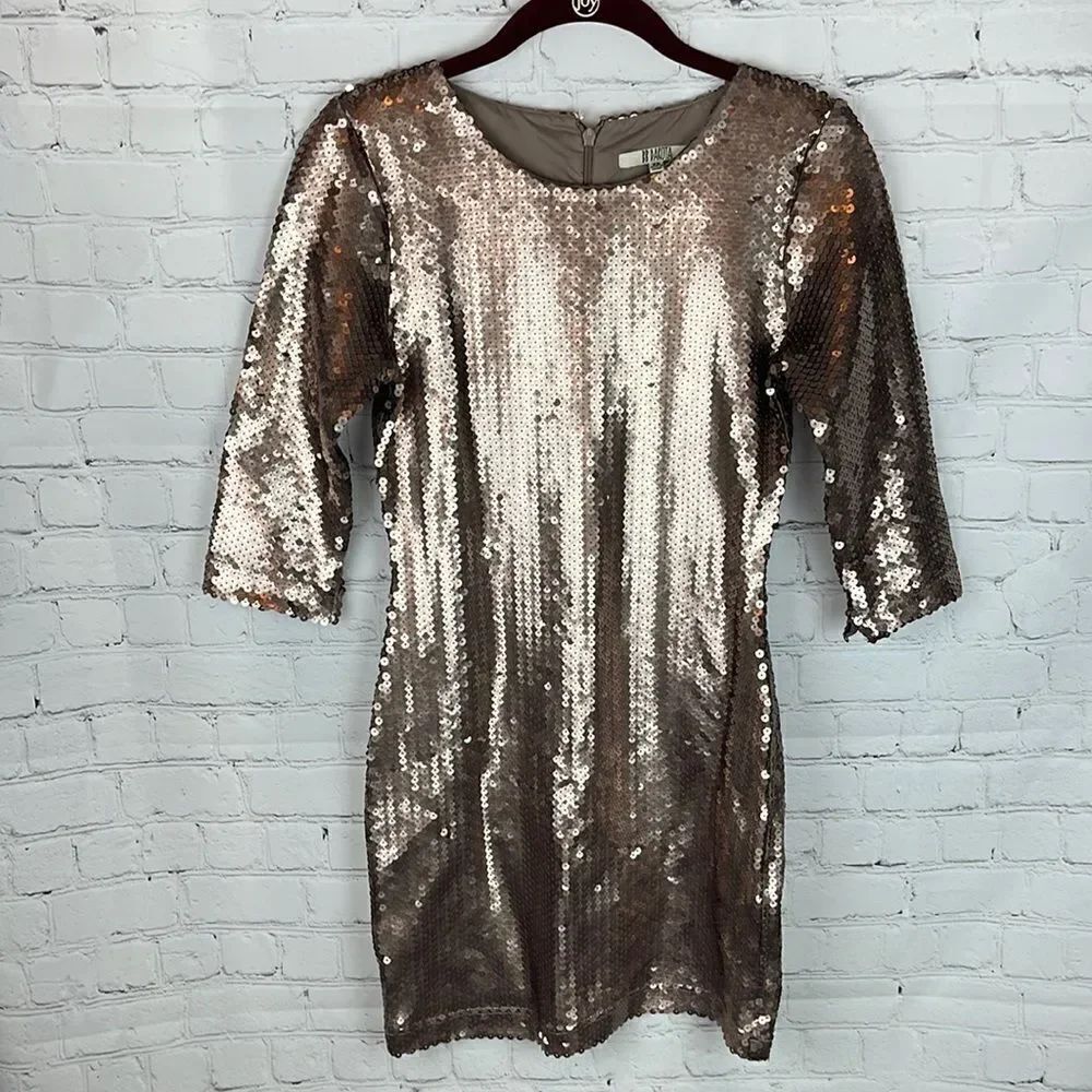 BB Dakota Derora Sequin Dress Size XS